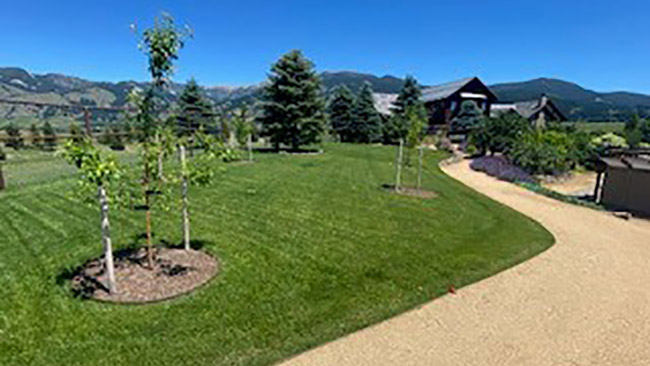 View After Completion 