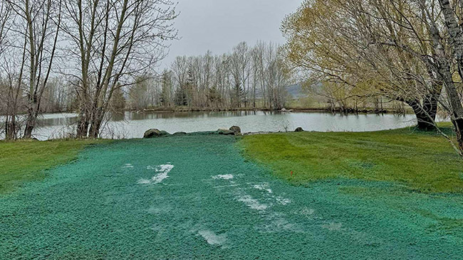 Hydroseeding Complete