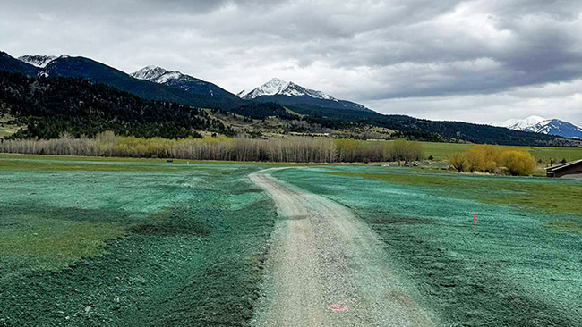 Hydroseeding
