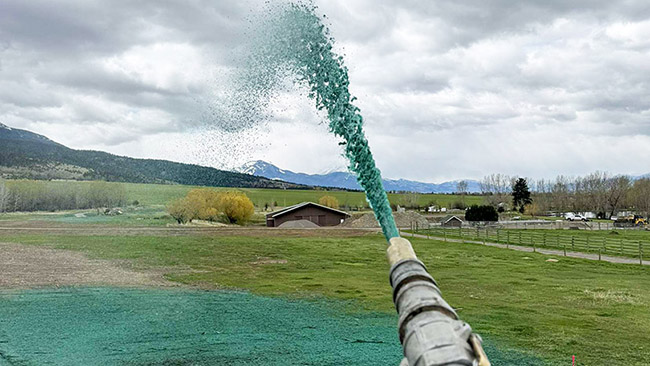 In Progress Spraying